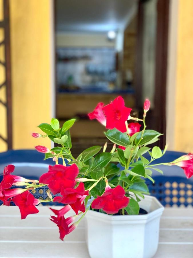 La Casa Dei Bouganville - Lo Stagnone Isole Egadi Marsala Eksteriør billede